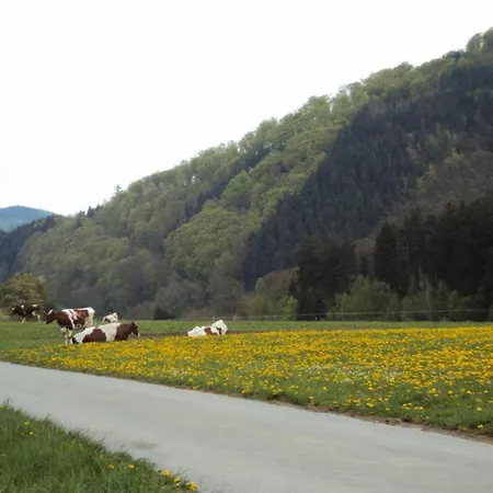 Im Sauerland Mit Terrasse Apartment Helminghausen