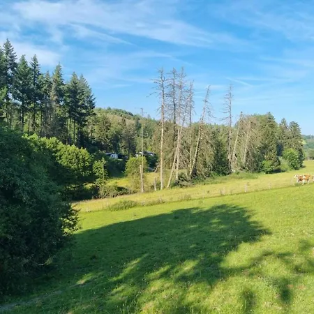 Im Sauerland Mit Terrasse Apartment