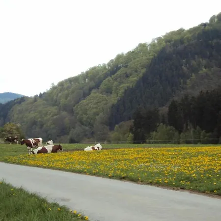 Apartment Im Sauerland Mit Terrasse
