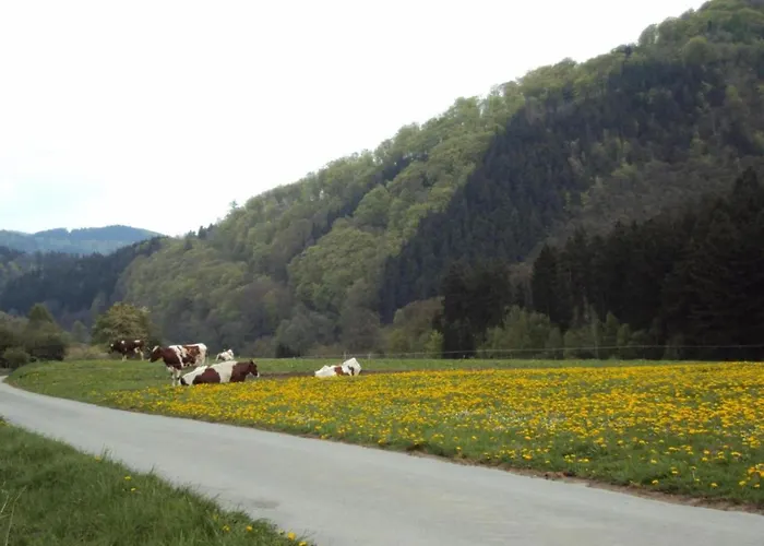Im Sauerland Mit Terrasse Διαμέρισμα Helminghausen