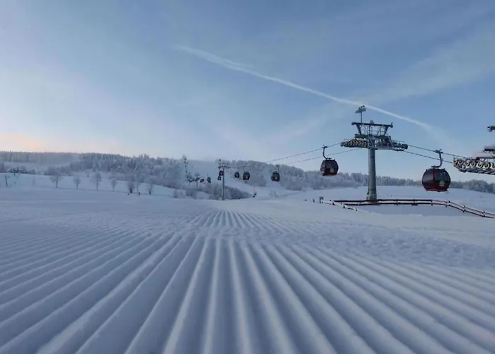Im Sauerland Mit Terrasse