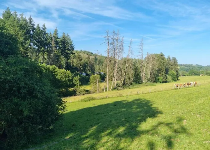 Im Sauerland Mit Terrasse Διαμέρισμα